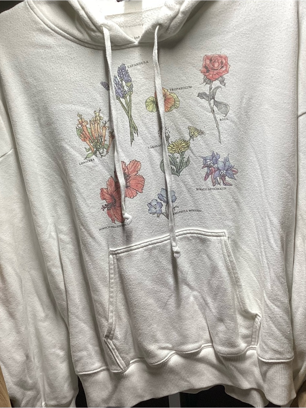 American Eagle Outfitters Cream Floral Hoodie with Multicolor Botanical Print
